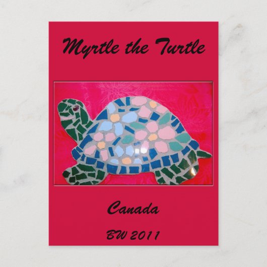 Het Briefkaart Turtle Canada (Voorkant)
