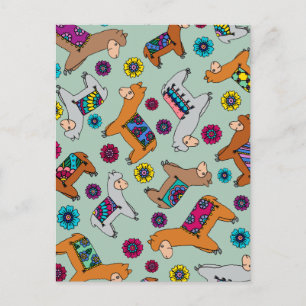 Het Briefkaart van Alpacas