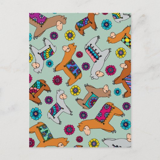 Het Briefkaart van Alpacas (Voorkant)