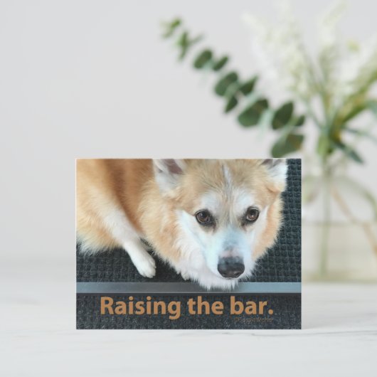 Het Briefkaart van de Bar Corgi verhogen (Staand voorkant)
