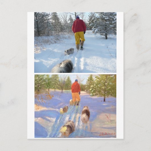 Het Briefkaart van de Bosbouw (Voorkant)