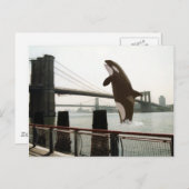Het Briefkaart van de Brooklyn Bridge springen (Voorkant / Achterkant)