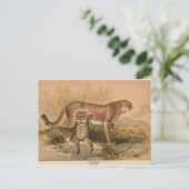 Het Briefkaart van de Cheetah Zoological Sketch (Staand voorkant)