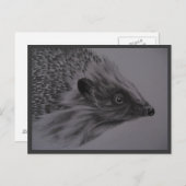 Het Briefkaart van de egel (Voorkant / Achterkant)