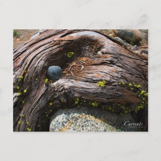 Het Briefkaart van de Foto van stromen (Voorkant)