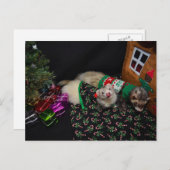 Het Briefkaart van de Fretten van Kerstmis (Voorkant / Achterkant)