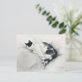 Het briefkaart van de kat (Staand voorkant)