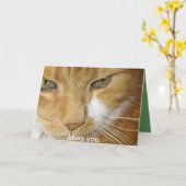 Het briefkaart van de kat (Gele Bloem)