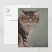 Het Briefkaart van de Kat van de Wasbeer van Maine (Voorkant / Achterkant)