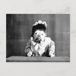 Het Briefkaart van de koningin Bulldog