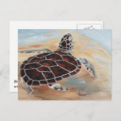 Het Briefkaart van de Opkantelschildpad (Voorkant / Achterkant)