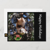 Het Briefkaart van de Opossum van de Vakantie van (Voorkant / Achterkant)