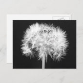 Het Briefkaart van de paardebloem (Voorkant / Achterkant)