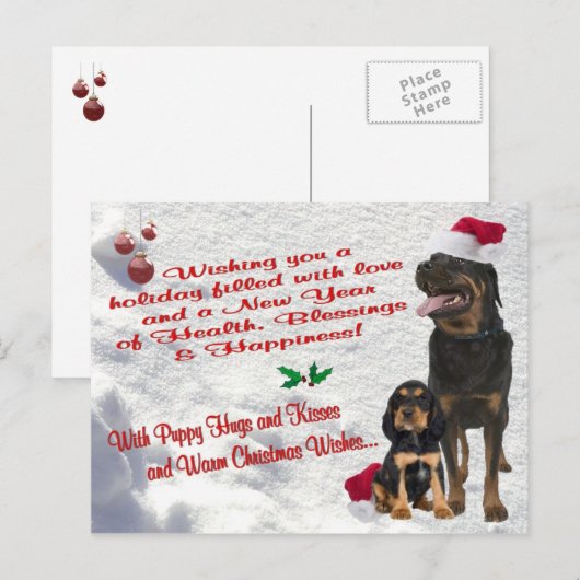 Het Briefkaart van de Scène van de Sneeuw van (Voorkant / Achterkant)