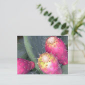 Het Briefkaart van de stekelige Peer (Staand voorkant)