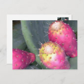 Het Briefkaart van de stekelige Peer (Voorkant / Achterkant)