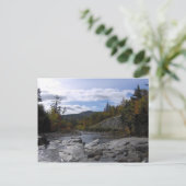 Het briefkaart van de Swift (Staand voorkant)