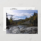 Het briefkaart van de Swift (Voorkant / Achterkant)