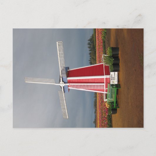 Het Briefkaart van de Windmolen van Oregon (Voorkant)