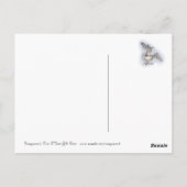 Het Briefkaart van de zeemeeuw (Achterkant)