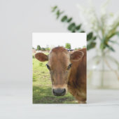 Het Briefkaart van de zuiveldeskundige (Staand voorkant)