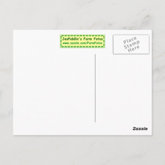 Het Briefkaart van de zuiveldeskundige (Achterkant)