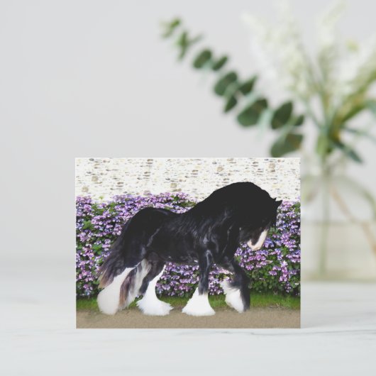 Het Briefkaart van "Donegal" (Staand voorkant)