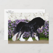 Het Briefkaart van "Donegal" (Voorkant / Achterkant)