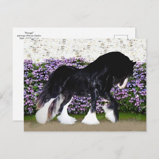 Het Briefkaart van "Donegal" (Voorkant / Achterkant)