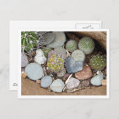 Het Briefkaart van Heartstones (Voorkant / Achterkant)