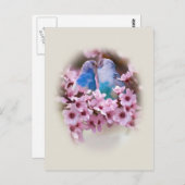 Het Briefkaart van het liefhebben van Parakeets (Voorkant / Achterkant)