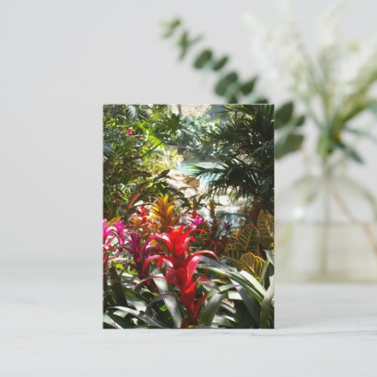 Het Briefkaart van het paradijs (Staand voorkant)