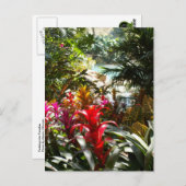 Het Briefkaart van het paradijs (Voorkant / Achterkant)