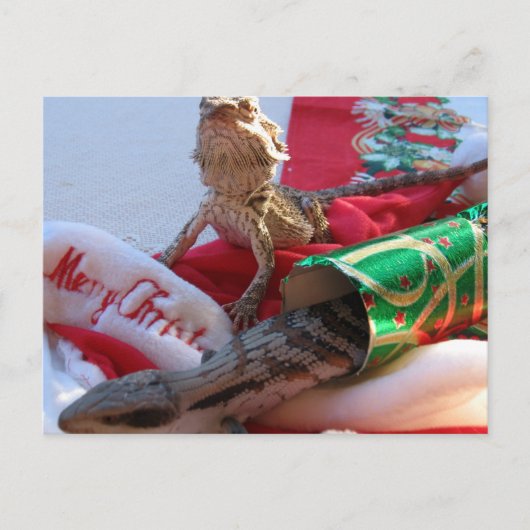 Het Briefkaart van Kerstmis van Aussie (Voorkant)