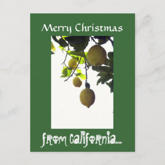 Het Briefkaart van Kerstmis van Californië