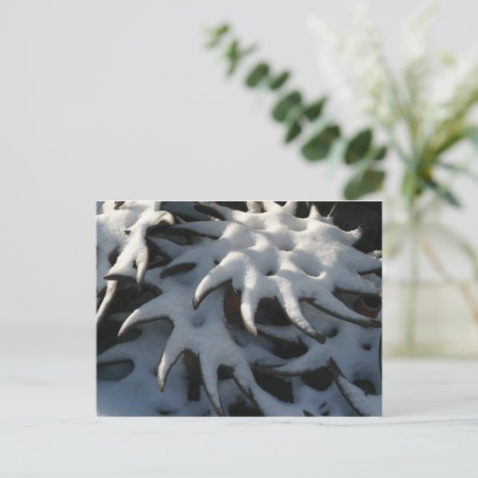 Het Briefkaart van Kerstmis van het Wiel van de (Staand voorkant)