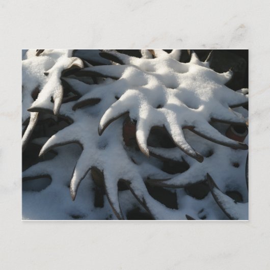 Het Briefkaart van Kerstmis van het Wiel van de (Voorkant)