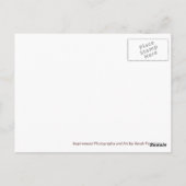 Het Briefkaart van kettingen (Achterkant)