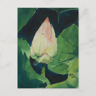 Het Briefkaart van Lotus