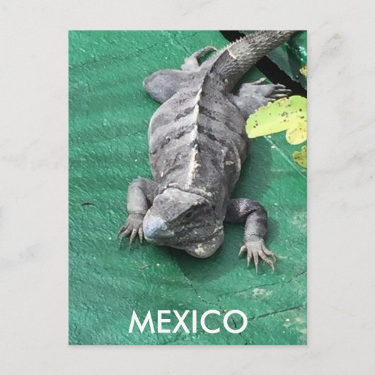 Het Briefkaart van Mexico (Voorkant)