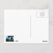 Het Briefkaart van palmen (Achterkant)