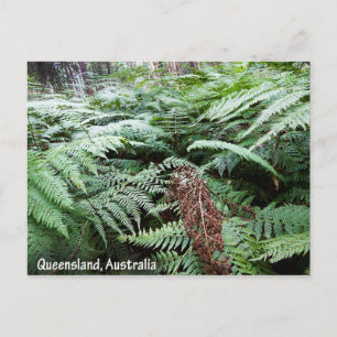 Het Briefkaart van Queensland Australië