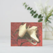 Het Briefkaart van schaatsen onbeweeglijk (Staand voorkant)