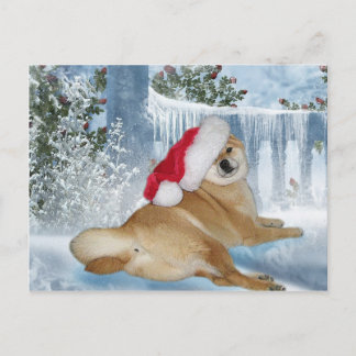 Het Briefkaart van Shiba Inu van Kerstmis