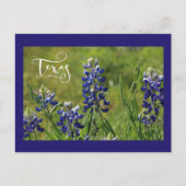 Het Briefkaart van Texas Bluebonnet (Voorkant)
