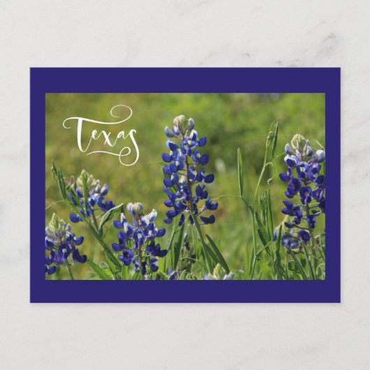 Het Briefkaart van Texas Bluebonnet (Voorkant)