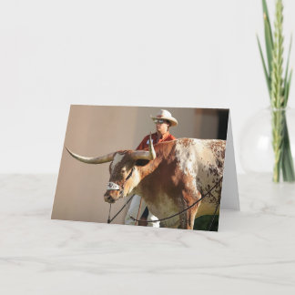 Het Briefkaart van Texas Longhorns