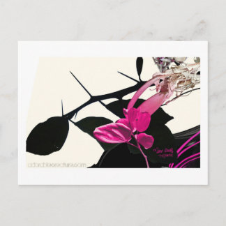 Het Briefkaart van Trichome