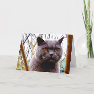 Het Britse Blauwe wenskaart van de Kat Kaart