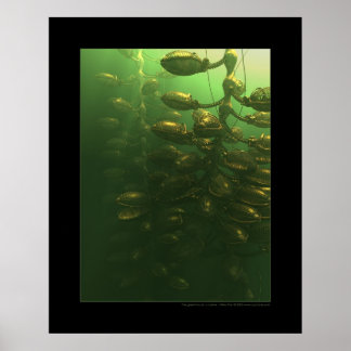 Het broeikaseffect poster